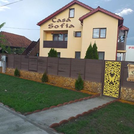 Casa Sofia Hotel Târgu Jiu Екстериор снимка