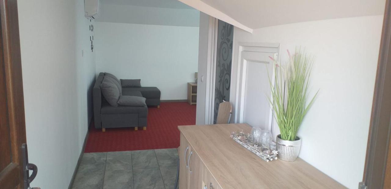 Casa Sofia Hotel Târgu Jiu Екстериор снимка