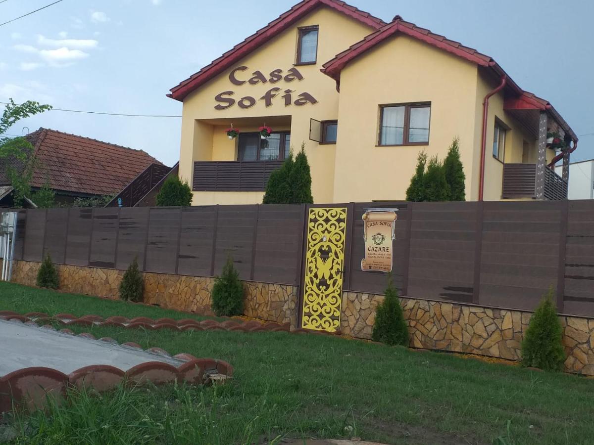 Casa Sofia Hotel Târgu Jiu Екстериор снимка