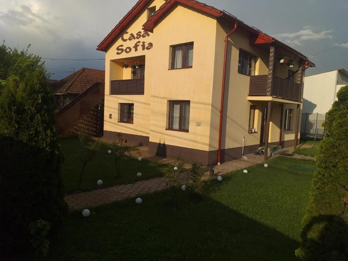 Casa Sofia Hotel Târgu Jiu Екстериор снимка
