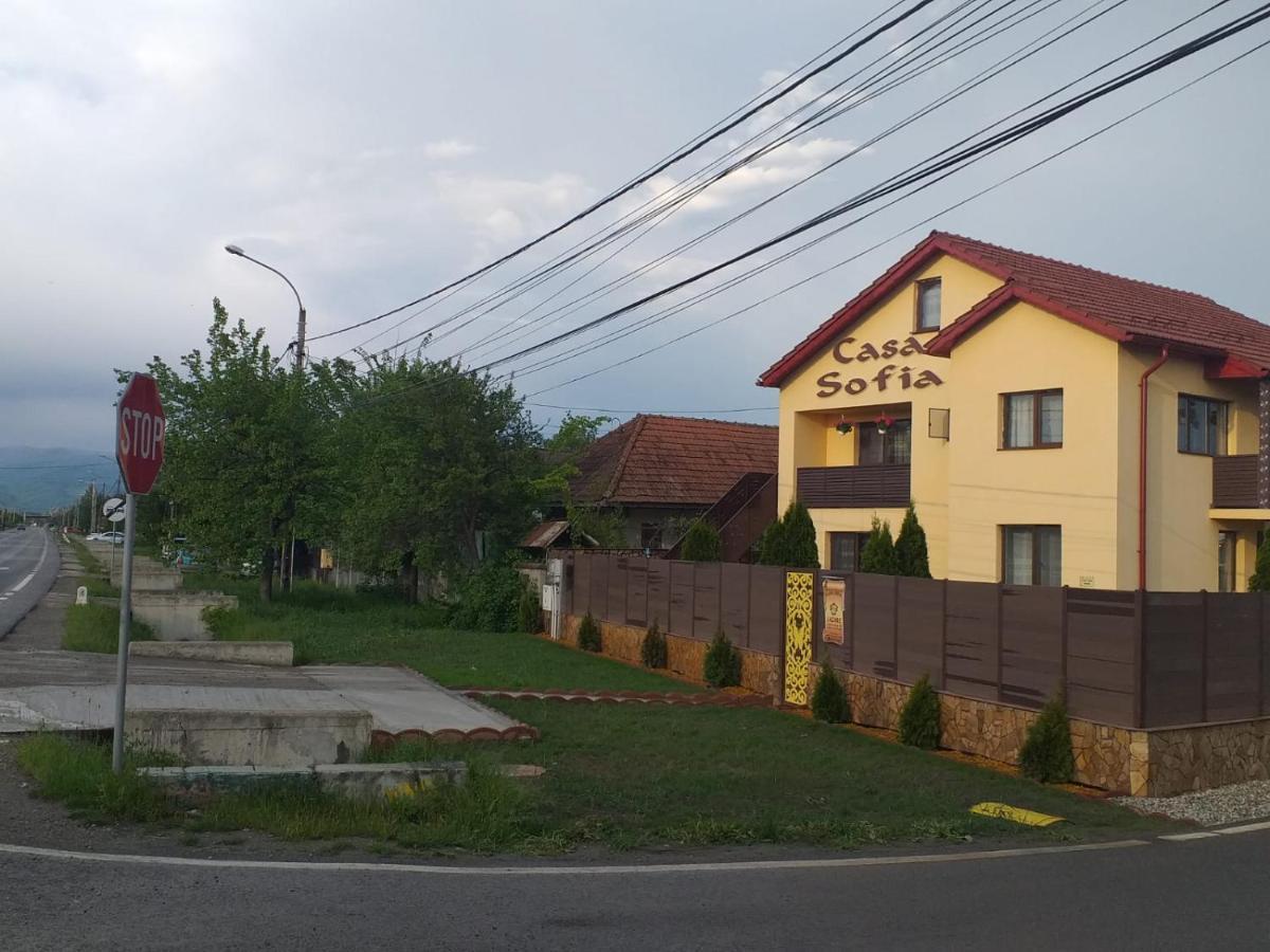 Casa Sofia Hotel Târgu Jiu Екстериор снимка
