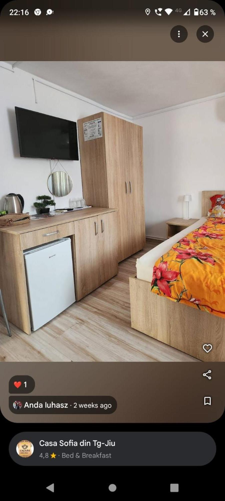 Casa Sofia Hotel Târgu Jiu Екстериор снимка